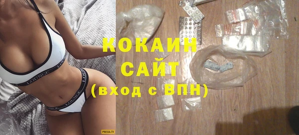 стаф Новый Уренгой