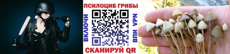 Псилоцибиновые грибы Psilocybine cubensis Заволжск